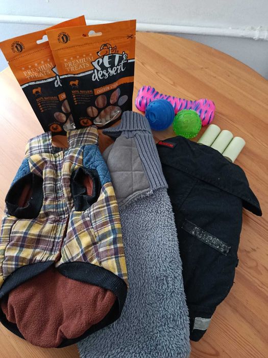 Lot accesorii pentru cățel talie mică – hăinuțe, jucării și treats