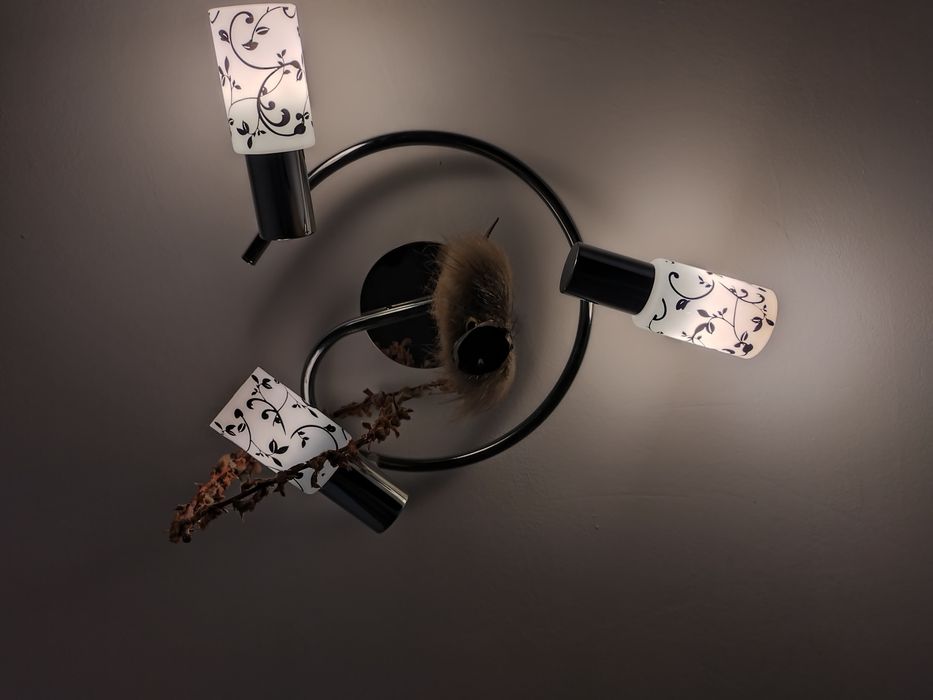 Спот Blossom тройка