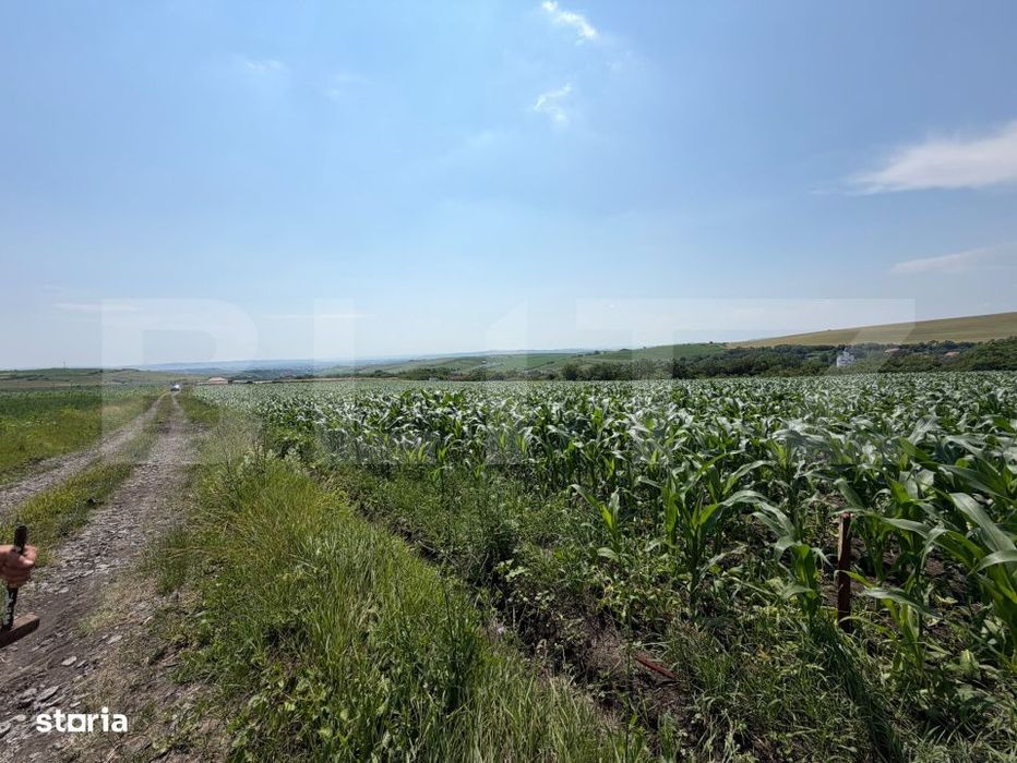 Teren intravilan, 1900 mp, sat Sandulesti