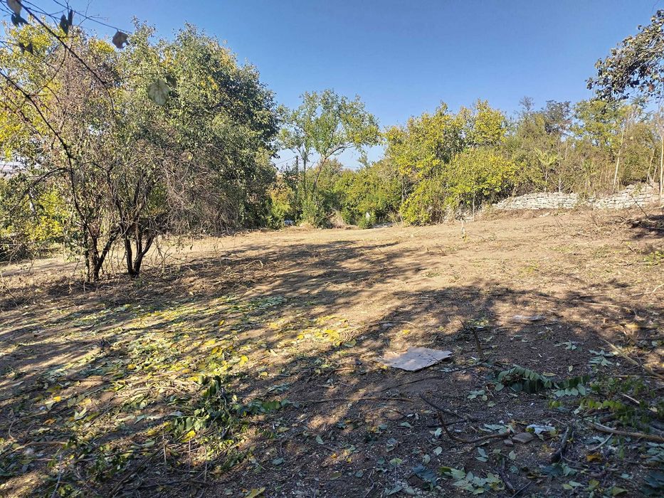 дворно място в село Червен, обл. Русе.