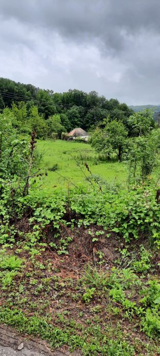 Teren 6229 mp, com Tomsani, jud Valcea