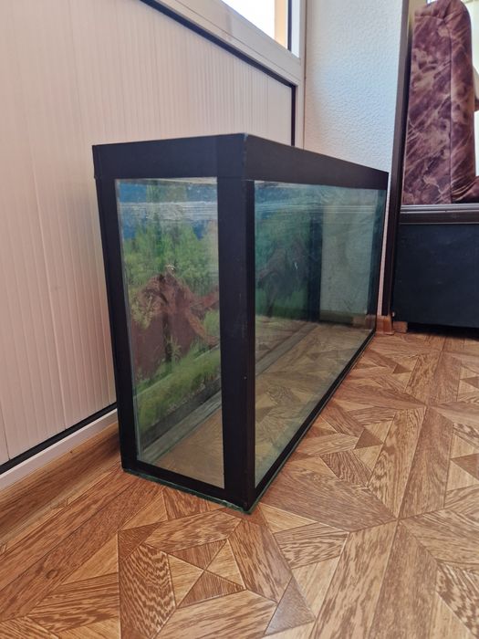 Аквариум сотилади