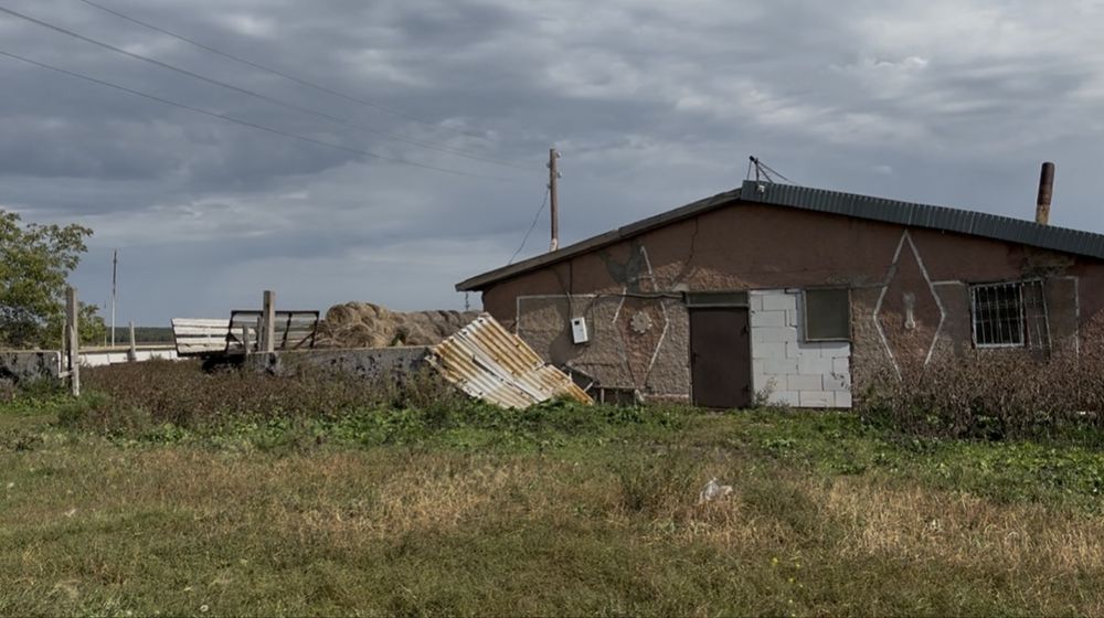 Фазенда / Готовый Бизнес