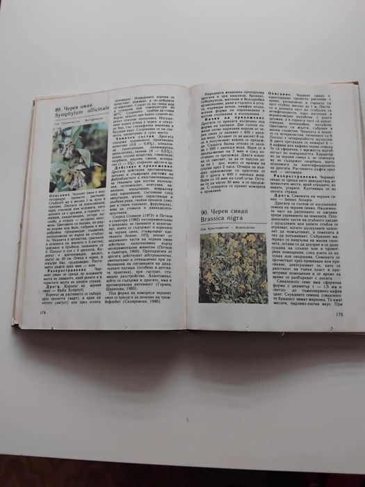 Да преборим без лекарства вътрешни и дихателни болести, лечебен масаж