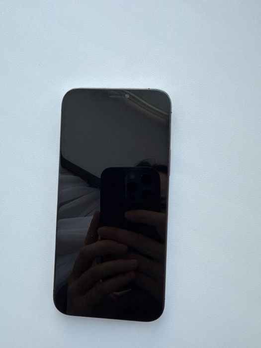 12 pro 256gb графитный