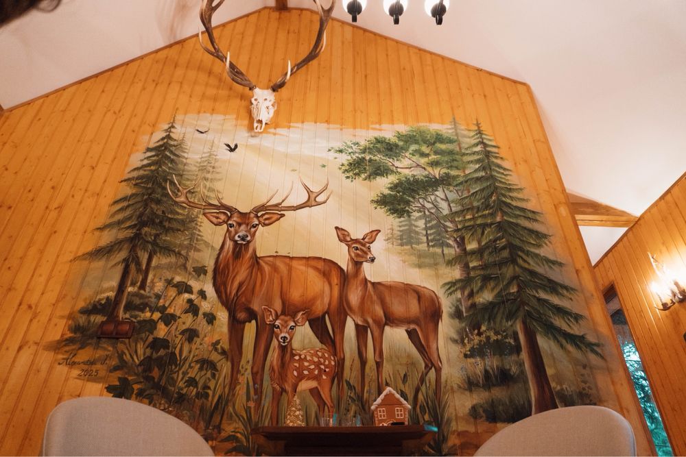 Cabana de inchiriat Colibita