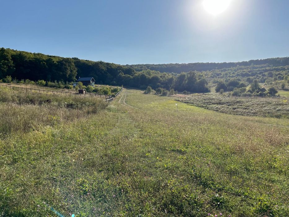 Teren extravilan 65 de ari in Bozeni