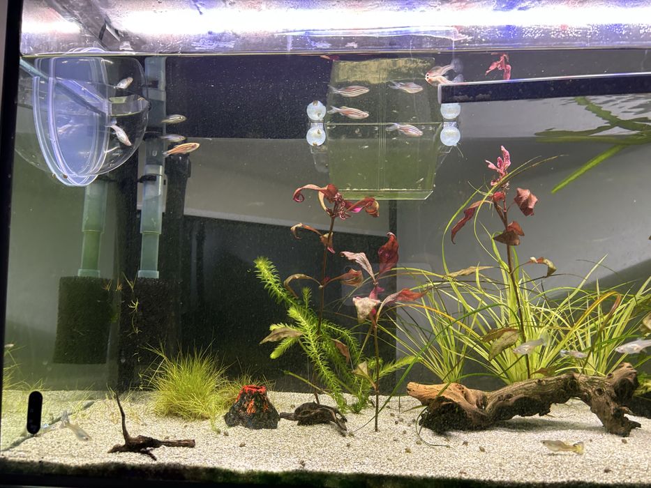 Vand acvariu 250l cu accesorii