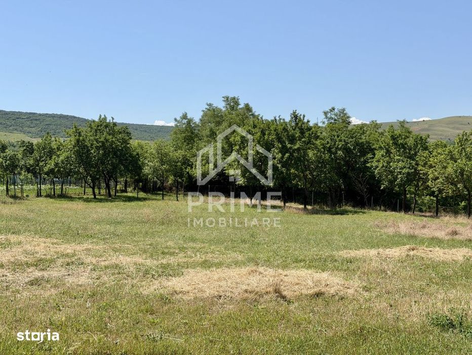 Teren Intravilan 2417 MP | Toate utilitatile | Oarda | Alba Iulia