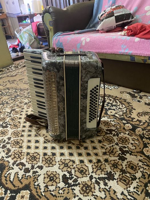 Acordeon timiș in stare foarte bună