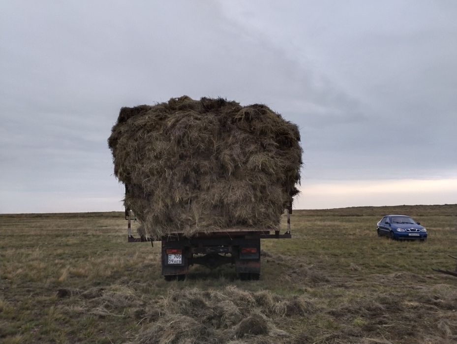 Газ 53 самосвал.