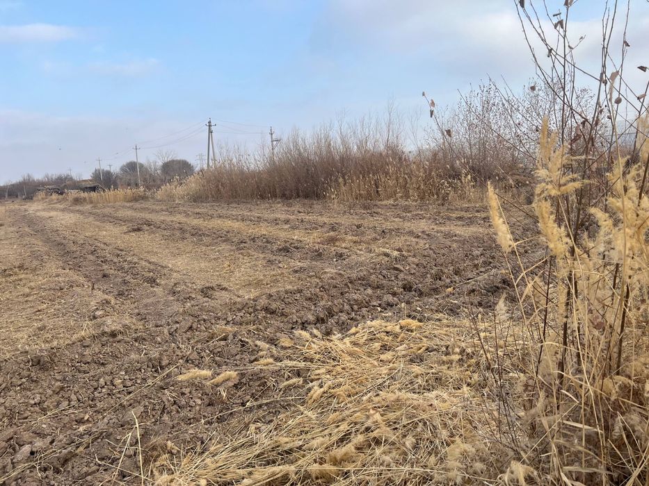 Noturar yer sotiladi (drujba Obodda)