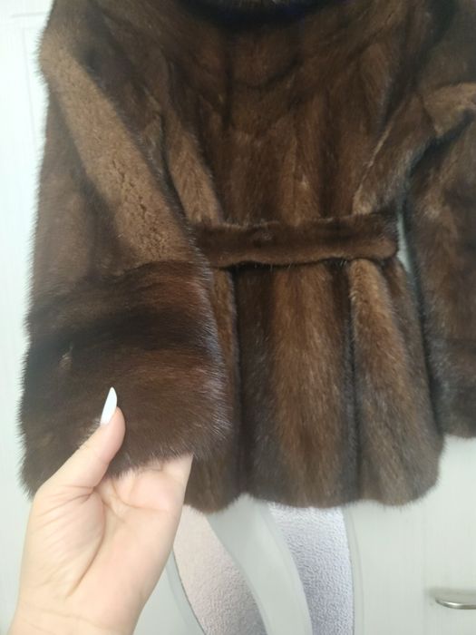 Haina  scurta de vizon