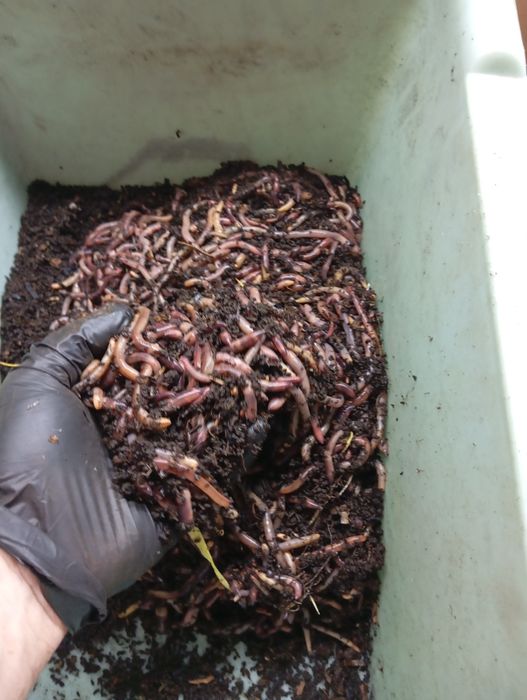 Биогумус в мешках