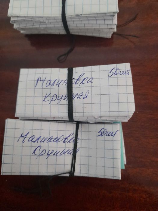 Продам свои семена помидор и перца.