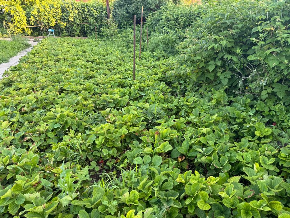 Продается дом в хорошем состоянии