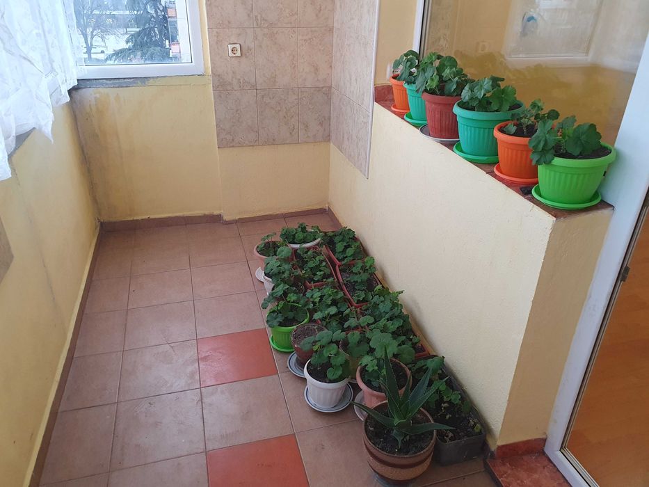 Продава се Двустаен апартамент в Казанлък - 83 кв.м за 894 €/кв.м - Снимка #3