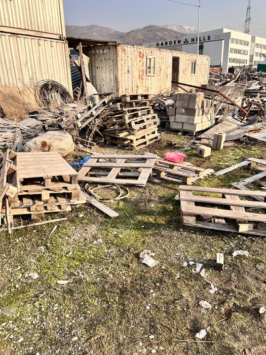 Отдам дерево бесплатно