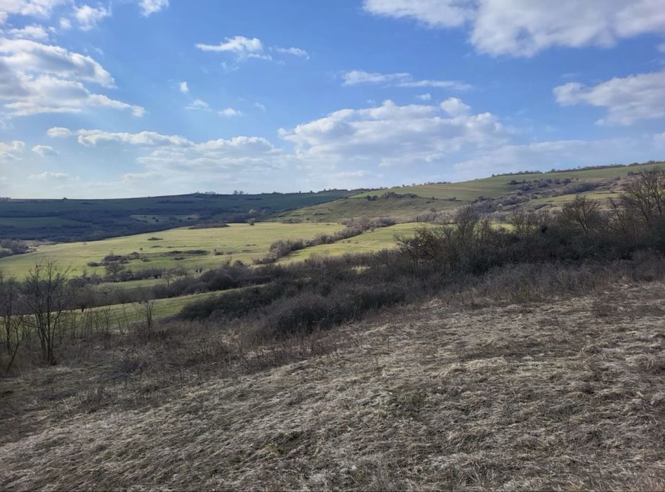 Teren 1 hectar cu casa