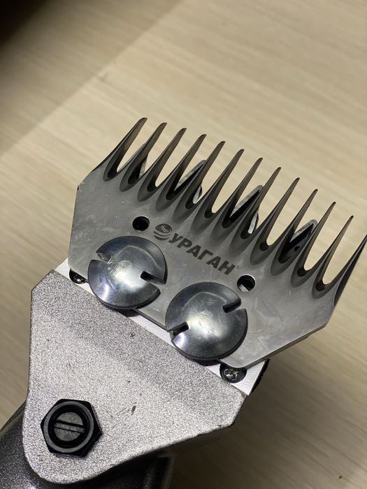 Қырықтық (стиржка овец) Ураган