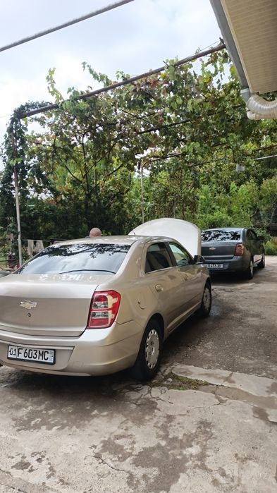2014 yil cobalt vikupga beriladu