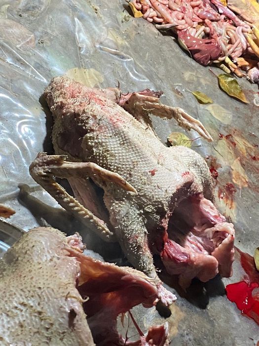 Сойылған қаз еті бар