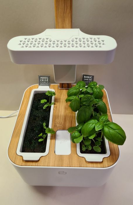 Автономна градина Botaneo