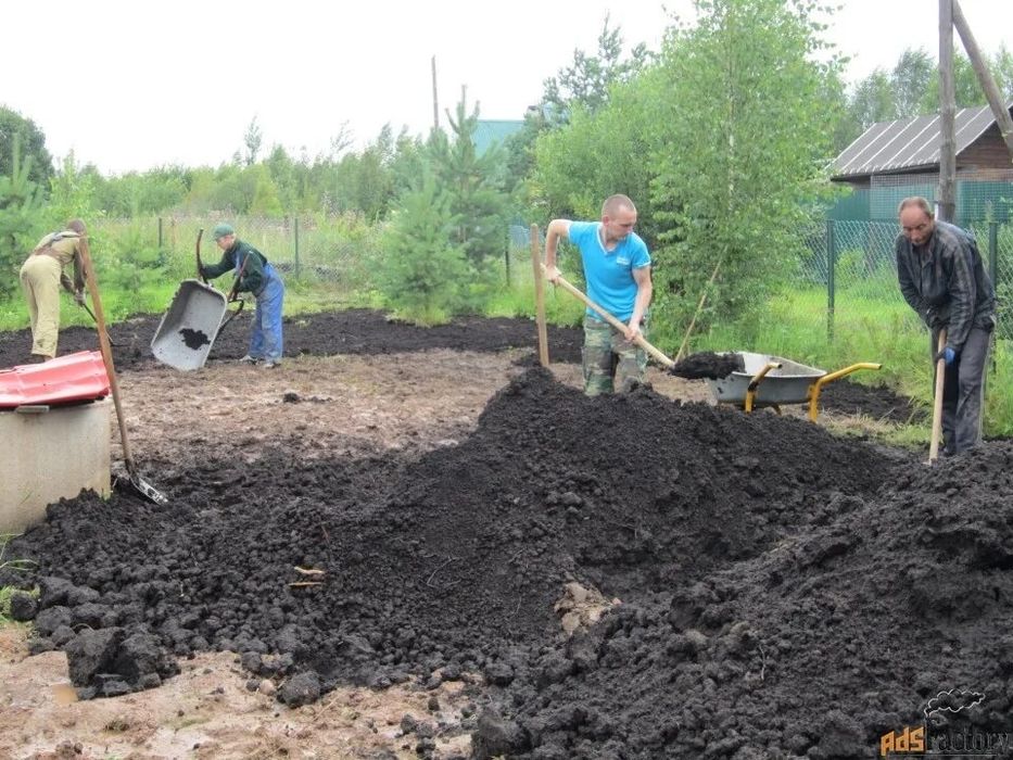 Кидаю уголь Недорого