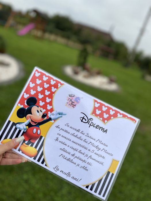 Mascote Mickey și Minnie Mouse Târgu-Jiu