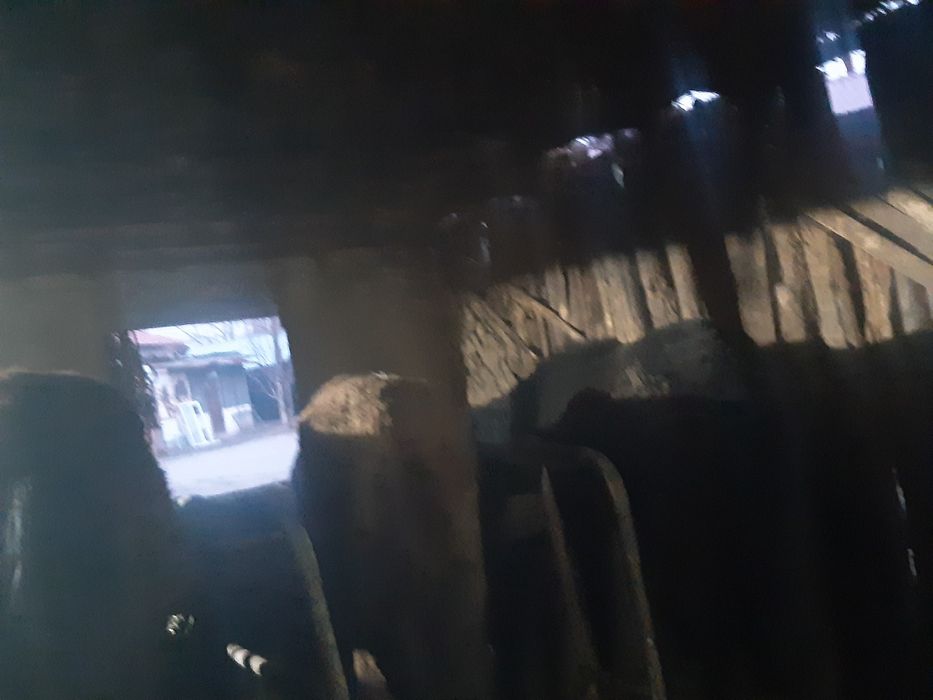 Жеребьята продаются