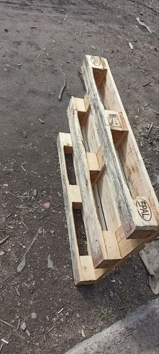 Расийиский падомлар хархил турдаги