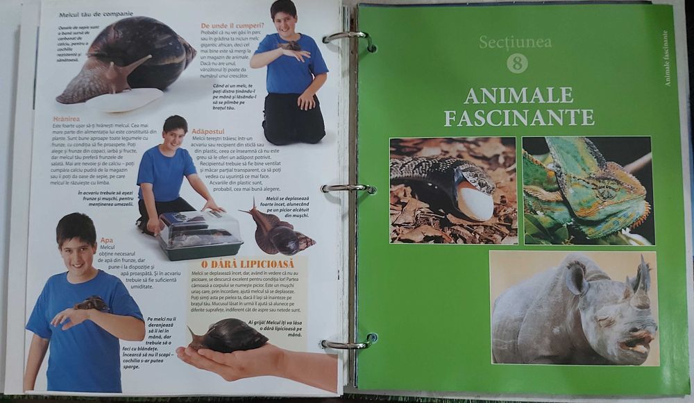 Numere Educaționale pentru Copii din seria "Animalele Planetei"