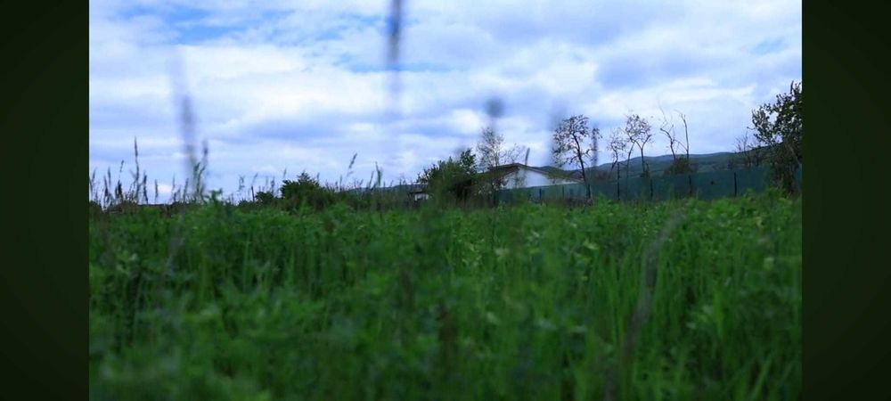 Teren extravilan cu posibilitate de Puz, 5000 mp, com Pârscov