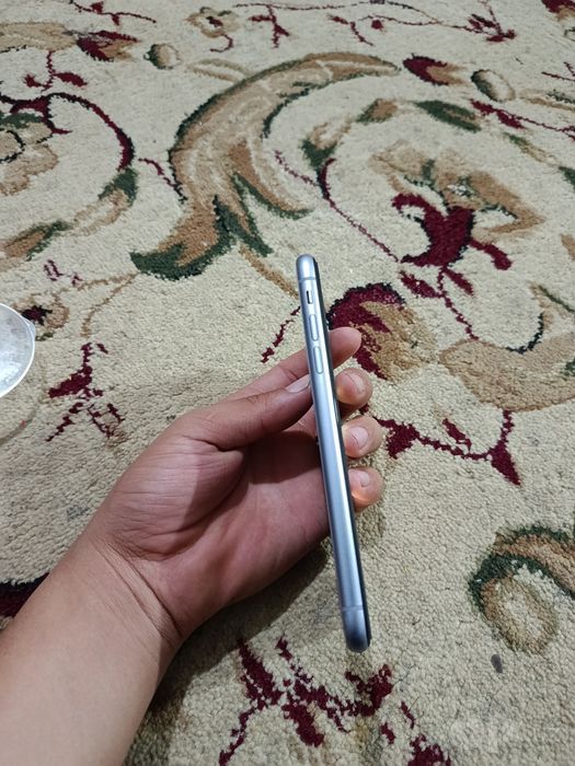 iPhone 11 feyalite