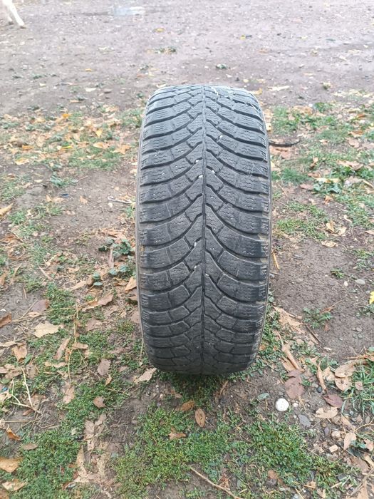Автошины срочно продам