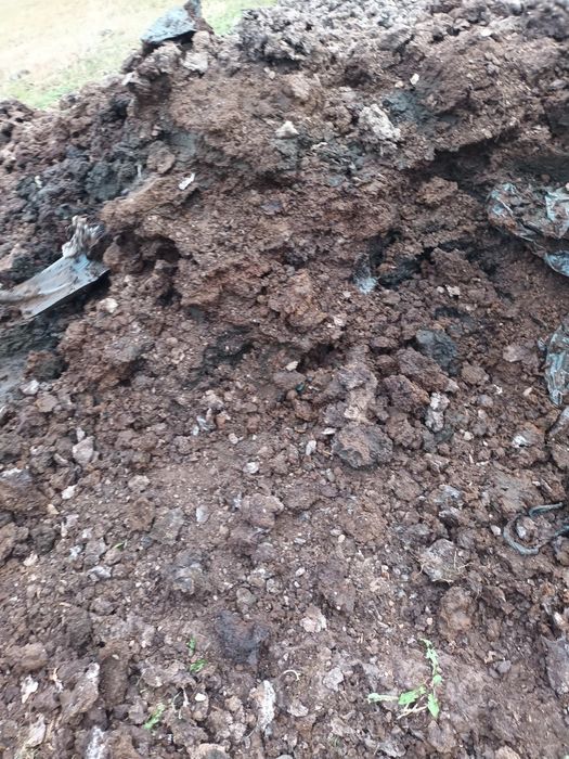 Gunoi de vaca bine macerat