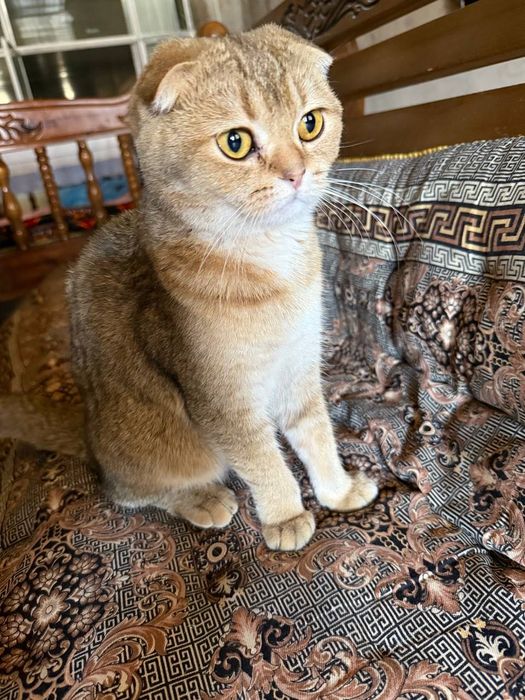 Друг тебе  или твоему ребенку