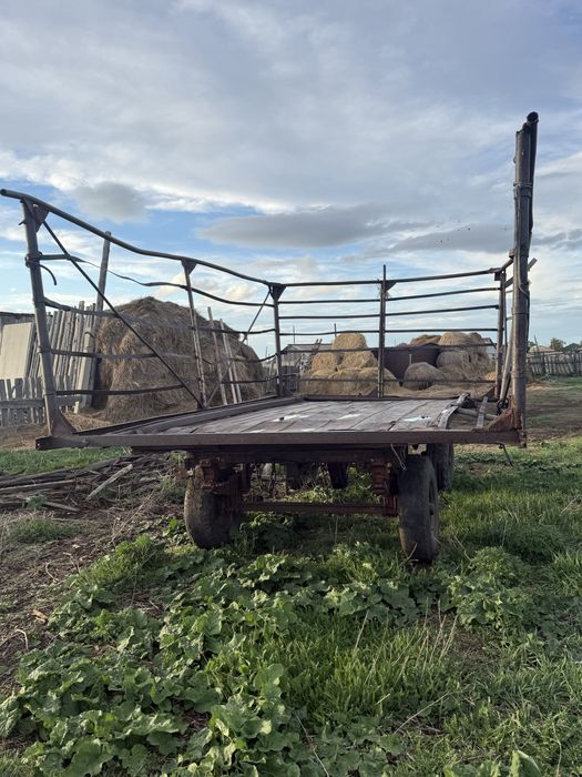 Продам мтз 82 и сеновозка птс.