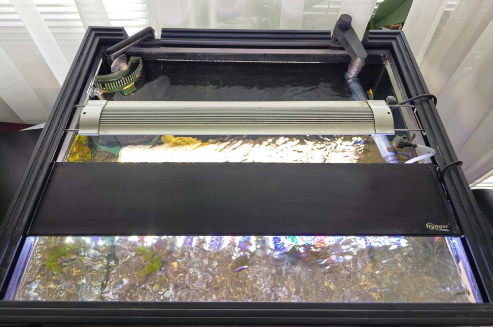 Аквариум с поставка / шкаф EHEIM Vivaline 150 + цялостно оборудване