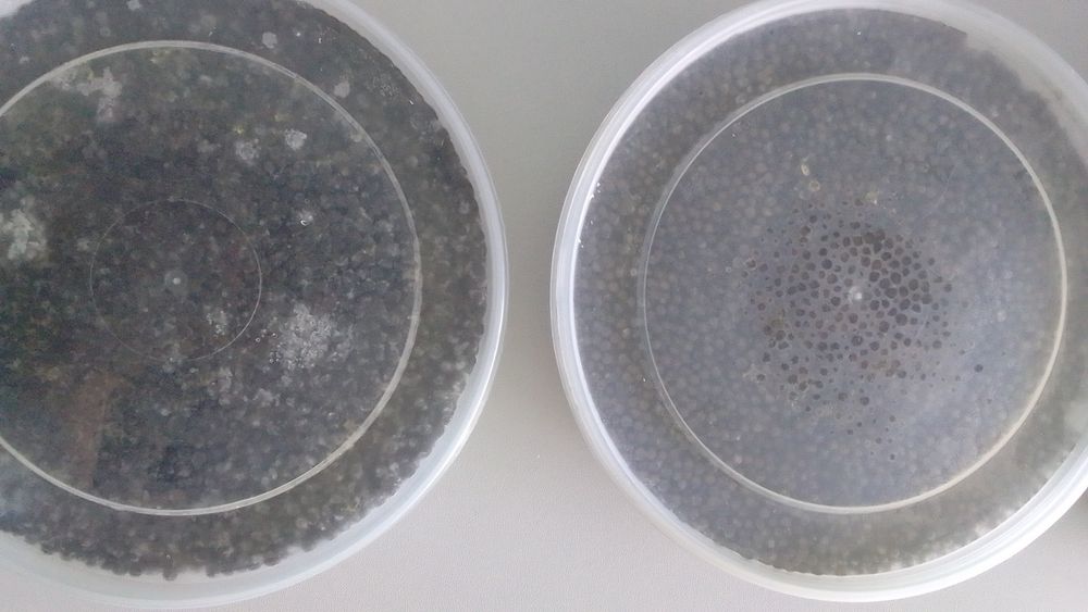 Икра чёрная натуральная