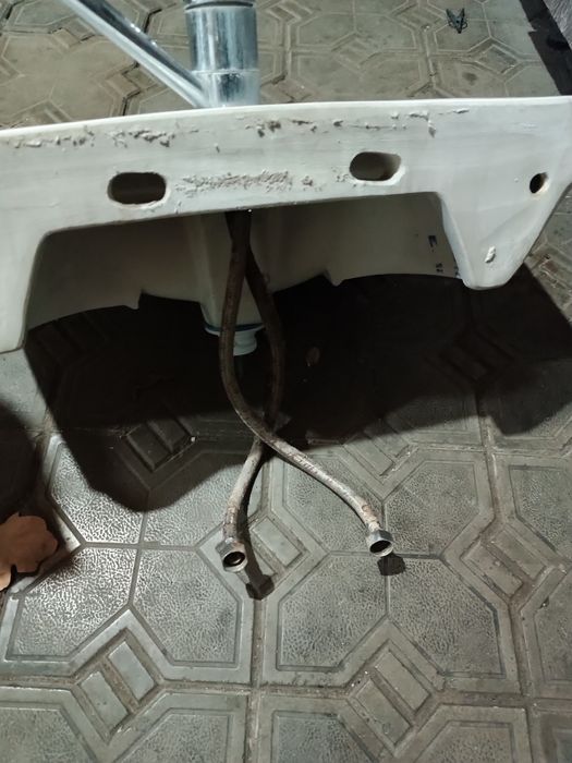 Раковина тюльпан