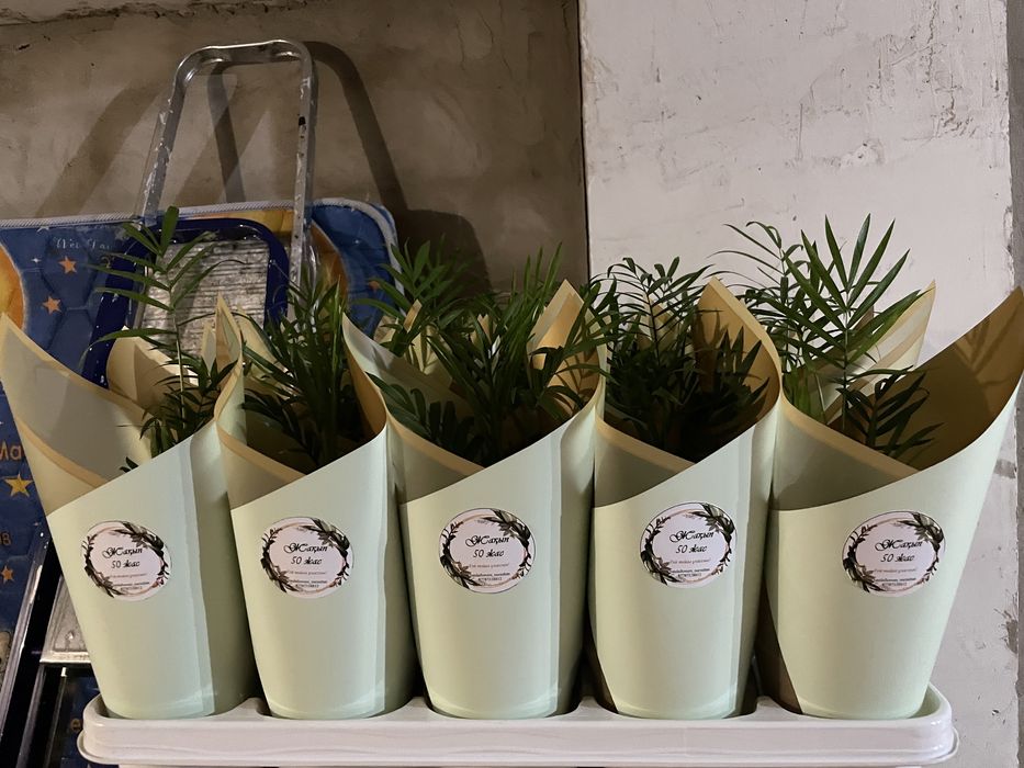 Цветы Тойбастар