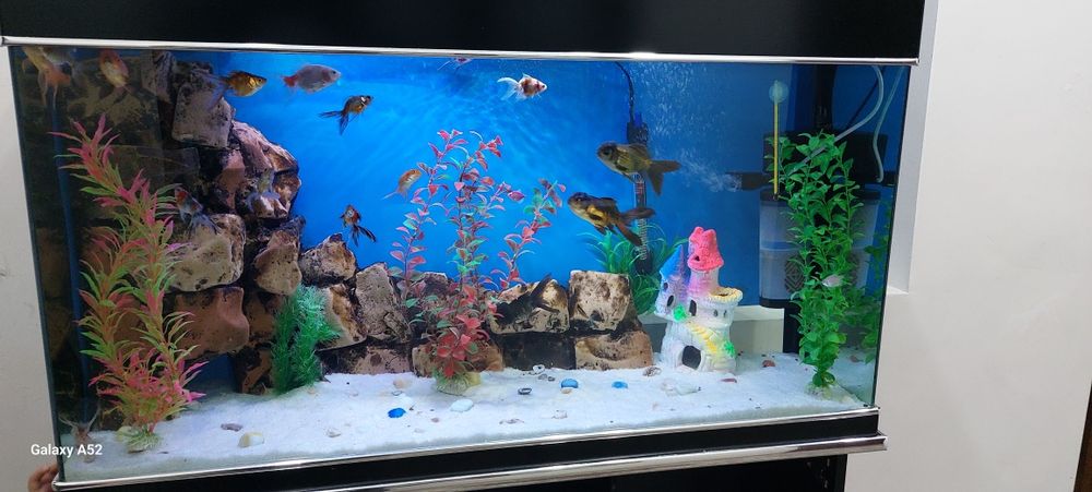 Akvarium akril komplekt