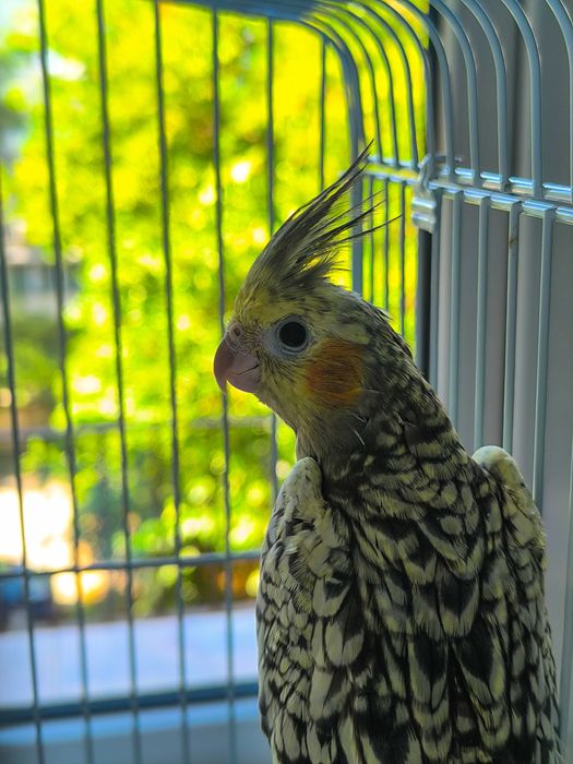 Дрон + Фотография / Видеография – Варна.