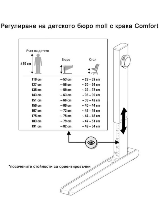 Ергономично ученическо бюро MOLL