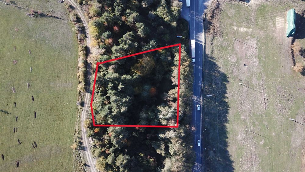 3000 кв. м. Парцел за продажба в Разлог