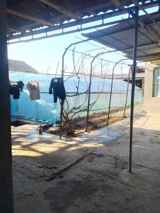 Янгийўл тумани М34 йўлида 4 соток ҳовли сотилади