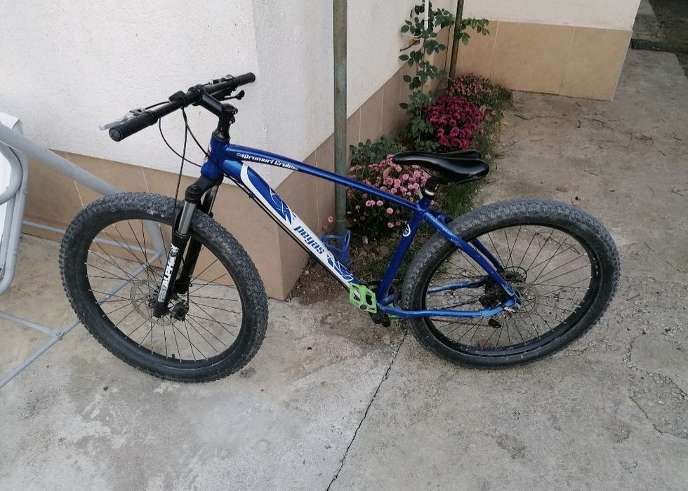 Bicicleta pegas roți groase