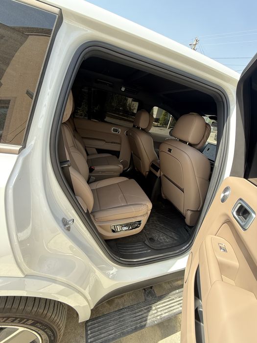 Li9 Ultra Restayling 2026 medell