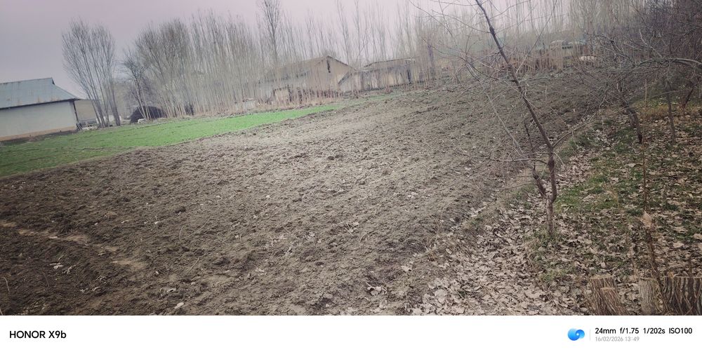 20 sotix yer maydoni